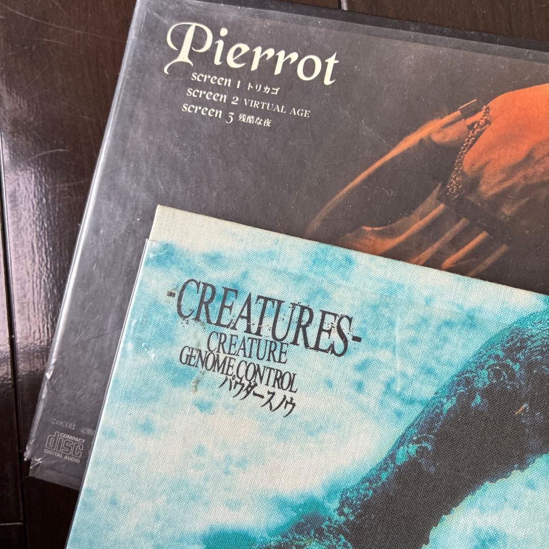 PIERROT CD DVDセット