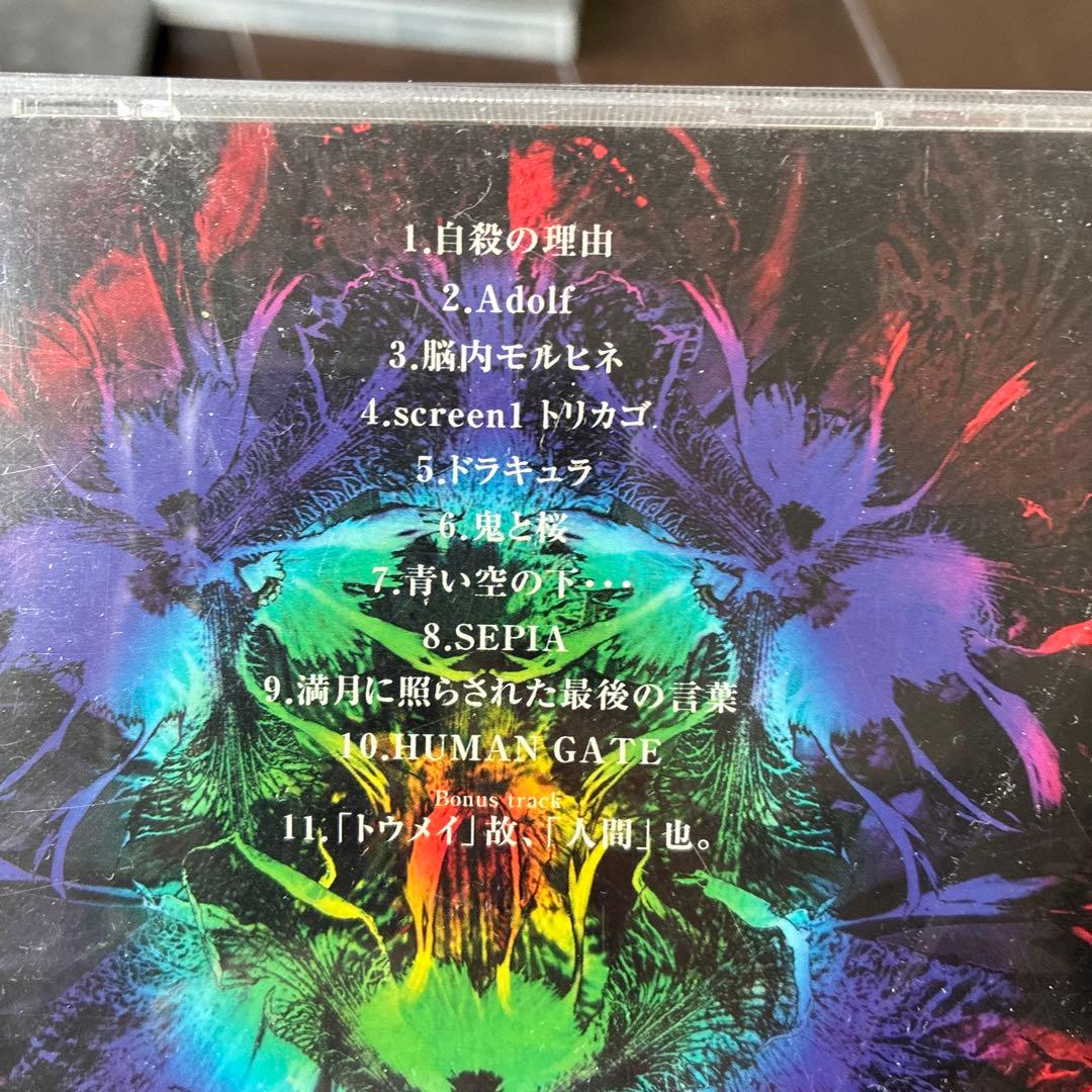 PIERROT CD DVDセット