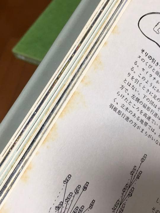 タイムライフブックス　ネーチュアライブラリー20冊