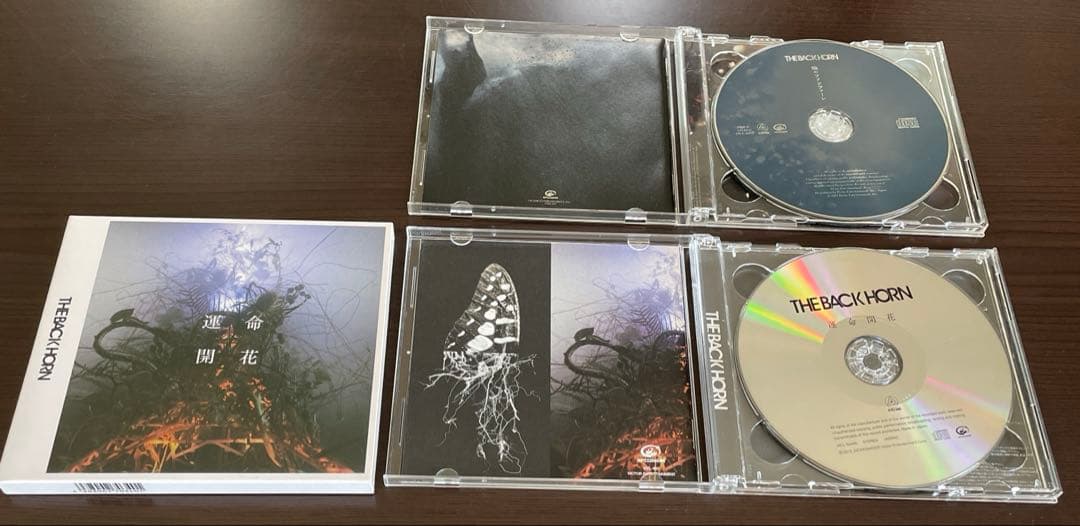 THE BACK HORN CD 14枚 初回限定盤多数 DVD付