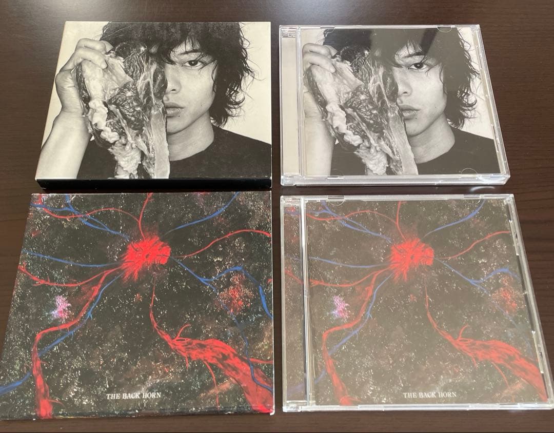 THE BACK HORN CD 14枚 初回限定盤多数 DVD付