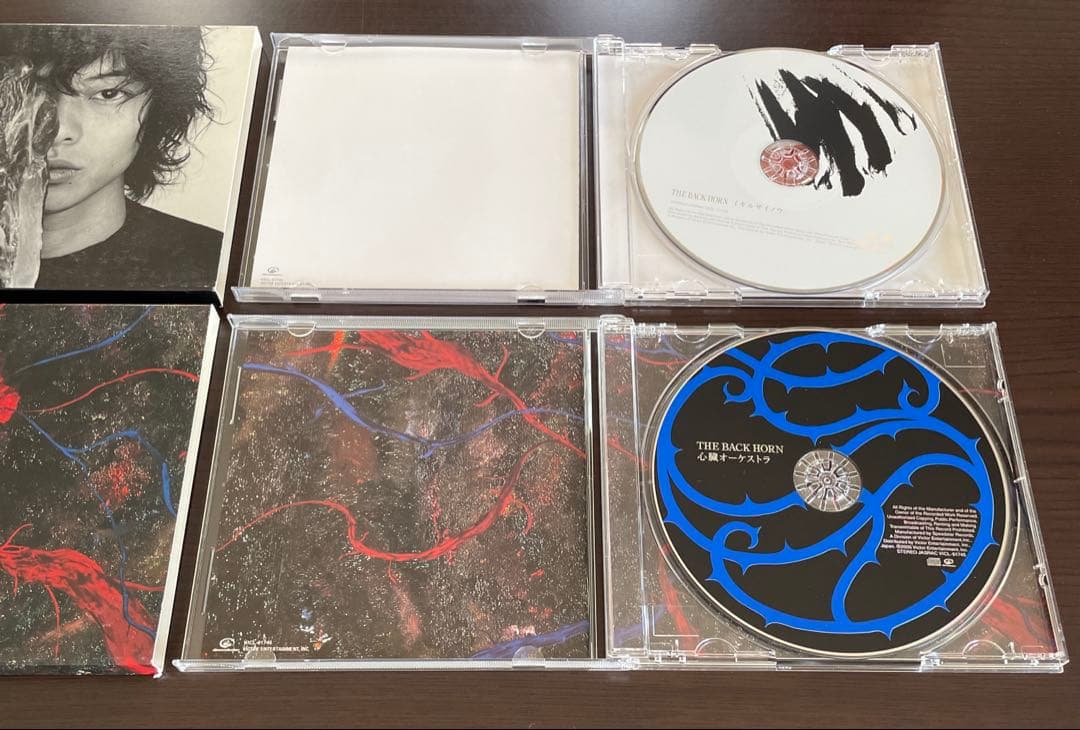 THE BACK HORN CD 14枚 初回限定盤多数 DVD付