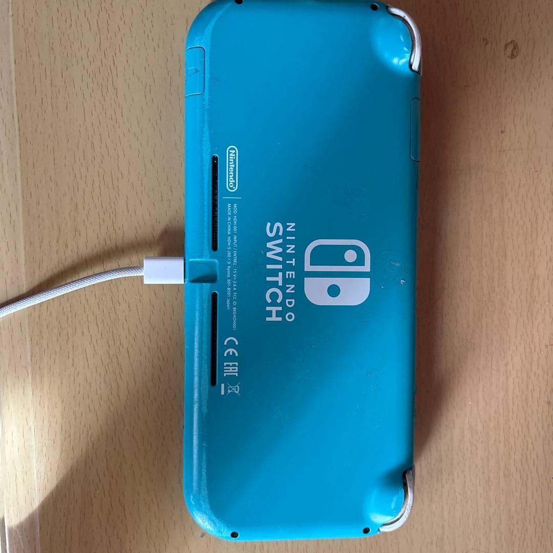 Nintendo Switch Lite 動作確認済み スティックカバー無し