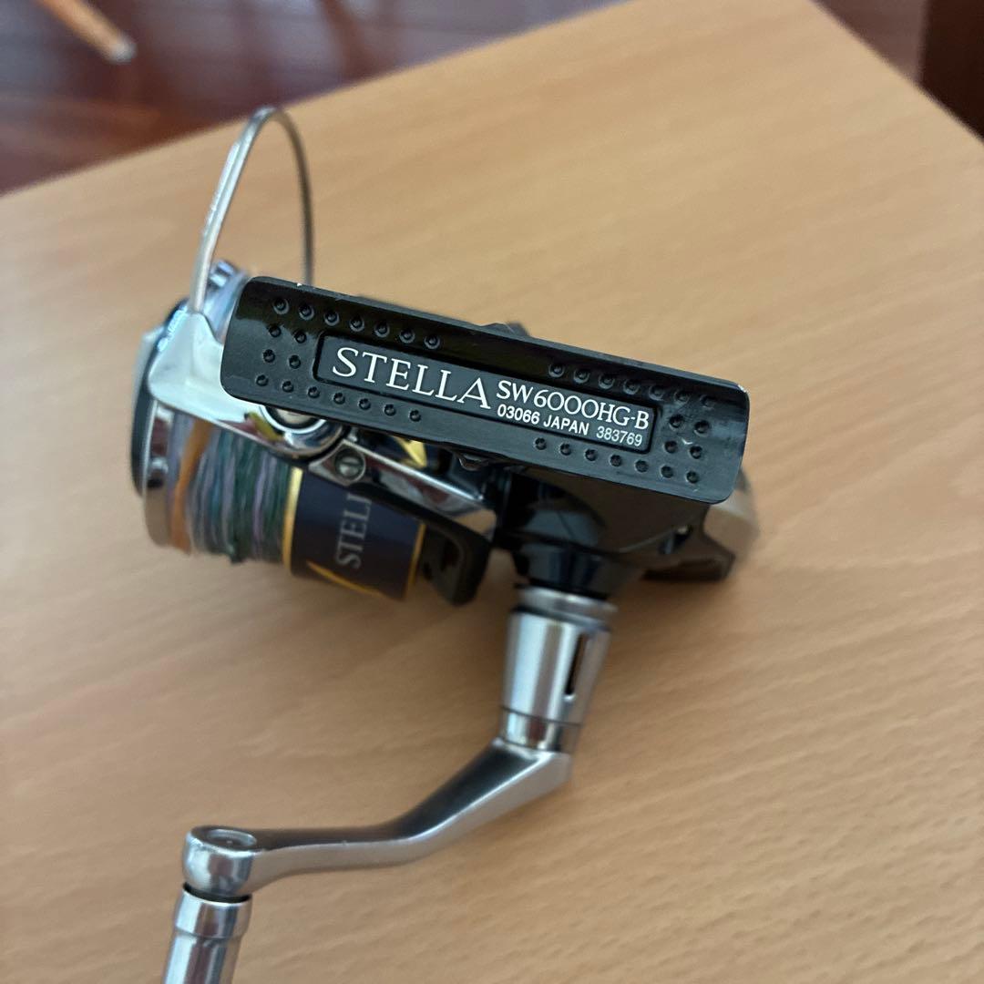 SHIMANO STELLA SW シマノ　ステラ SW6000HG