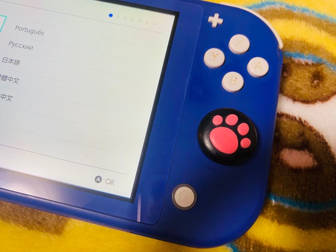 任天堂Switchライト