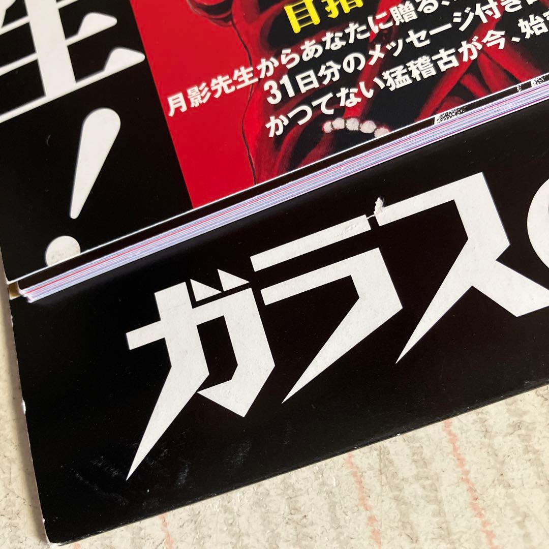 ガラスの仮面　美内すずえ　全巻（第1〜49巻）他