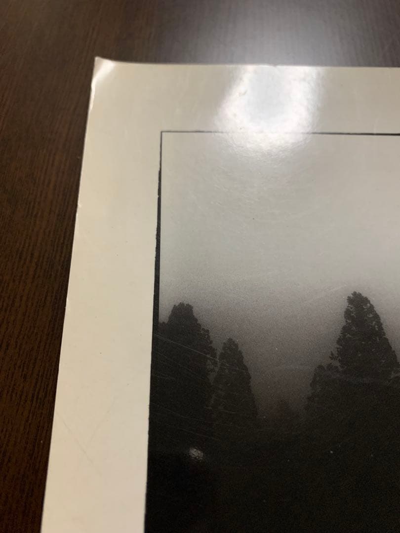 SAURUS CONCEPT BOOK バルサ50 永遠のスタンダード　2冊中古