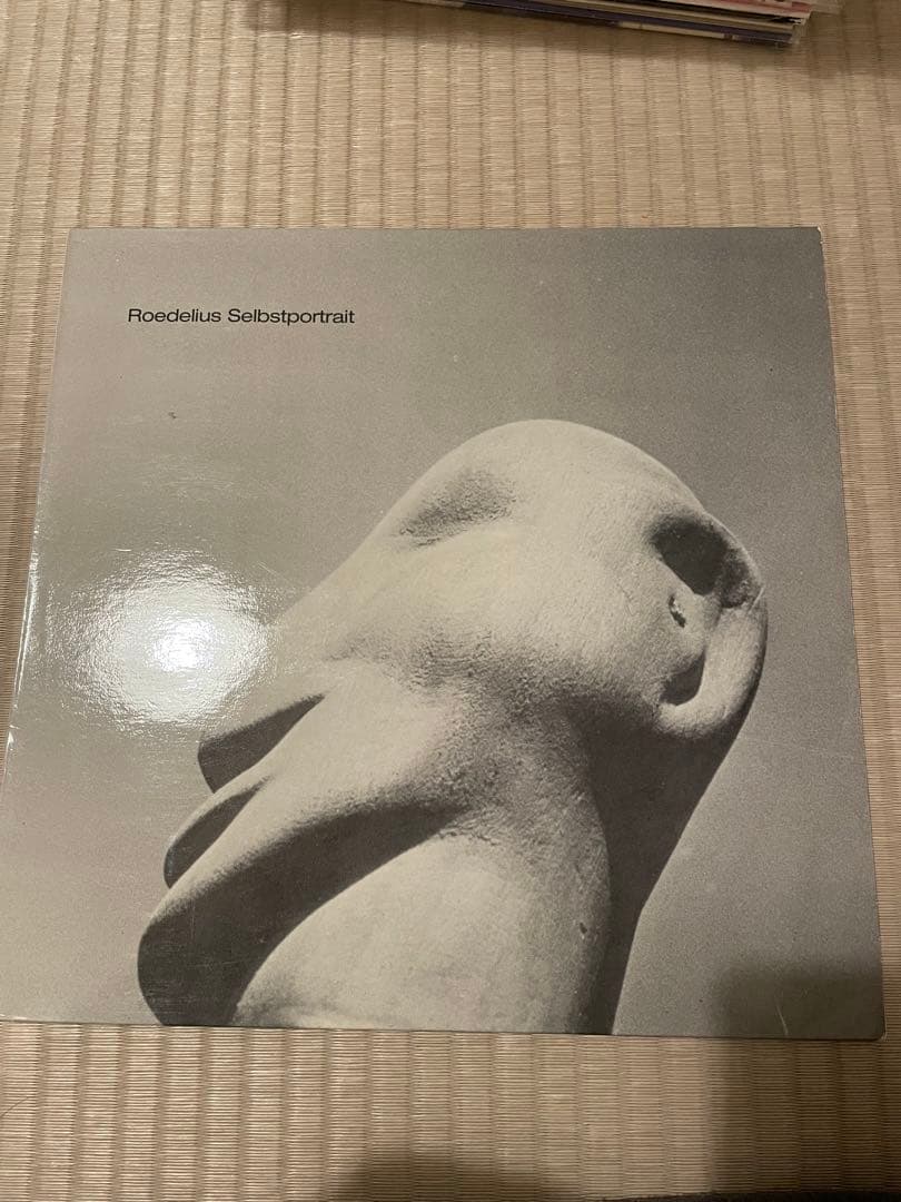 roedelius / selbstportrait / Vol. Ⅱ LP2枚
