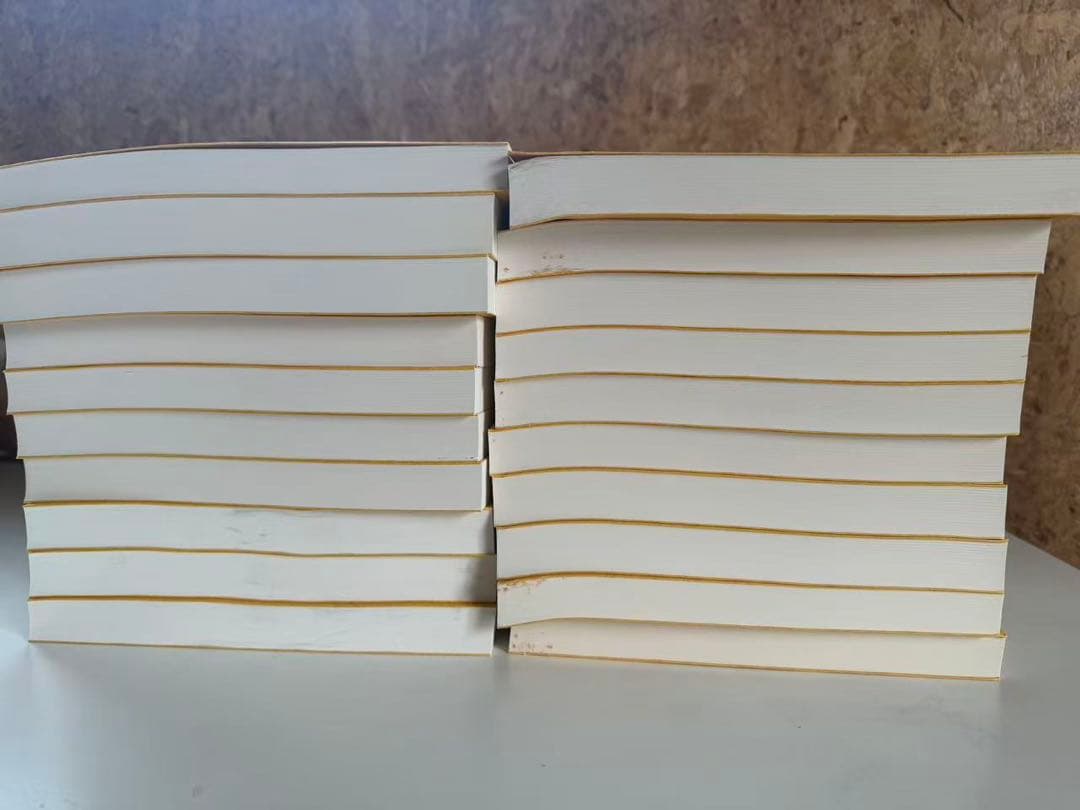 『資治通鑑』漢文版 歴史書 中国史　アマゾン購入 美品
