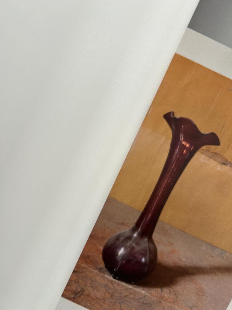 Morandis Objects ジョエル マイロウィッツ モランディ 静物写真