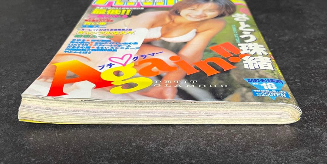 ●ヤングアニマル 1996年 No.18 ●巻頭カラー···ベルセルク 第87話