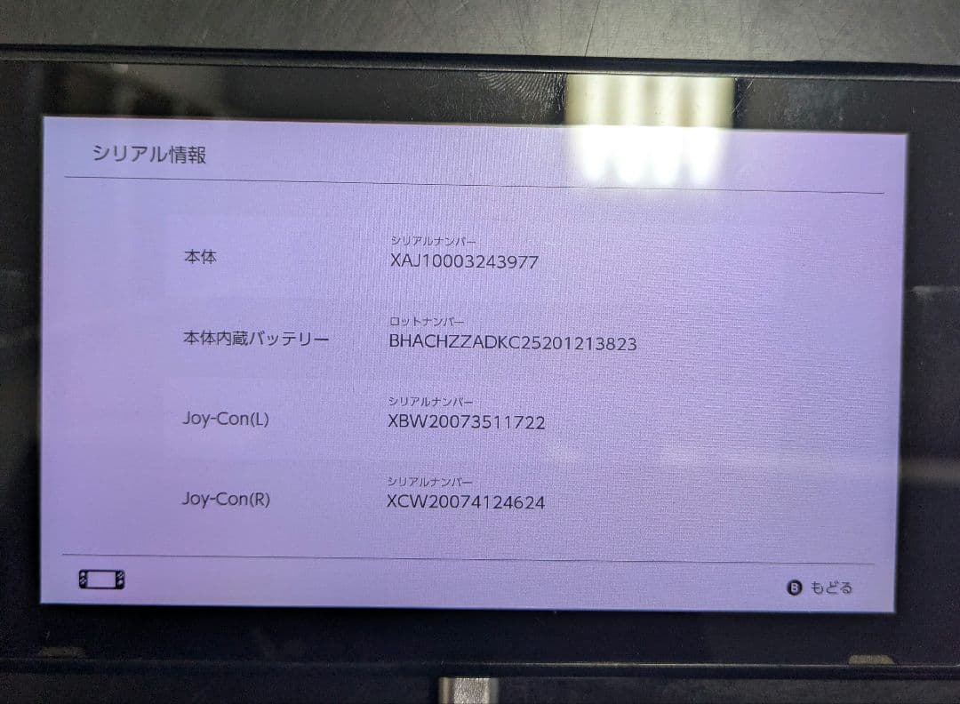 Nintendo Switch（2017年製・未対策機）③