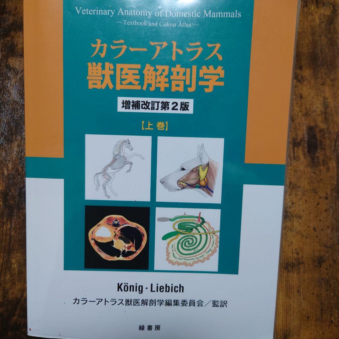 カラーアトラス獣医解剖学 上、下巻