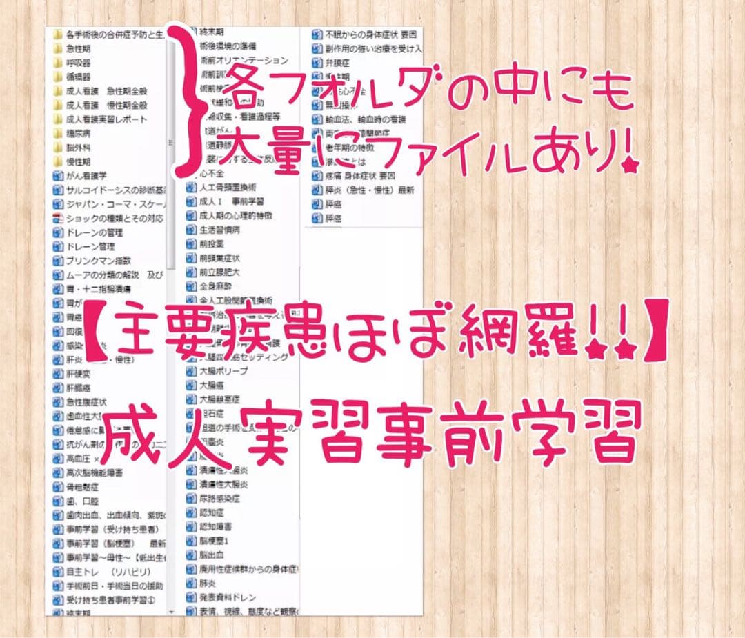 ＊看護学生 看護過程 看護学校 看護実習 アセスメント 手順書 関連図 国家試験