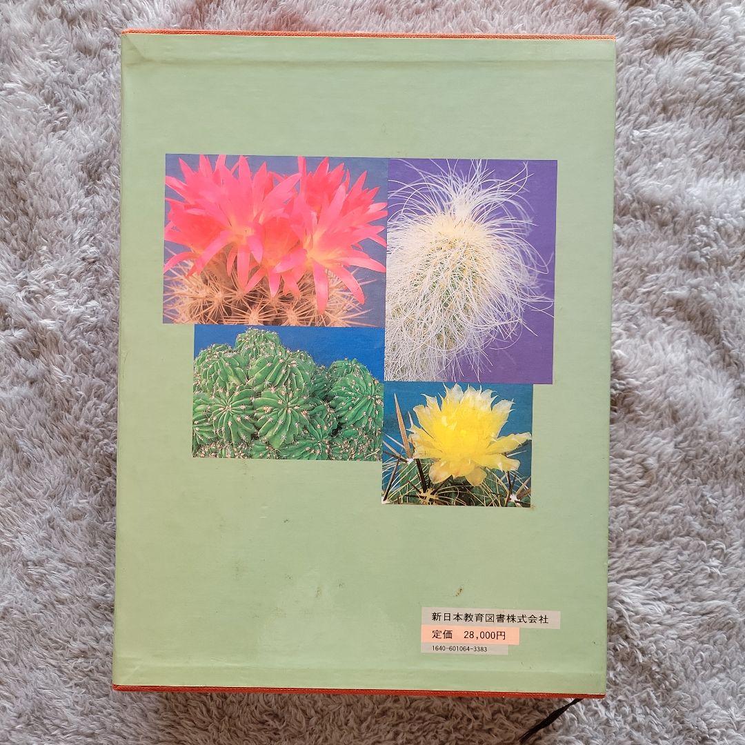 【貴重品！】サボテン科大図鑑　箱あり　絶版書　古書