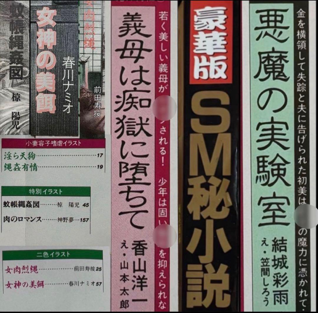 絶版】秘小説96年9月 結城彩雨 香山洋一 　　　前田寿按 楡畑雄二 椋陽児 他