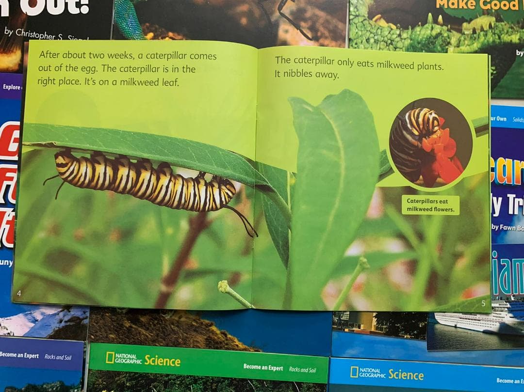 National Geographic ScienceG2絵本36冊