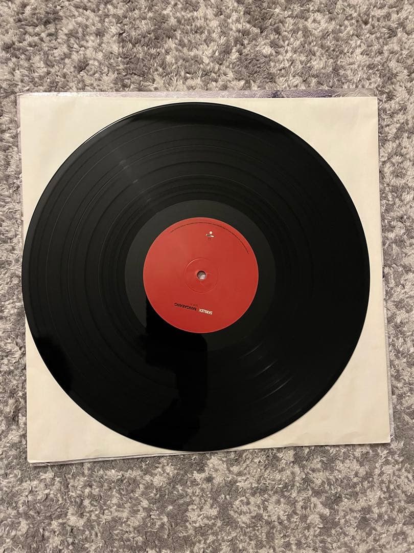 Skrillex Bangarang LP レコード 名盤 希少 バンガラング