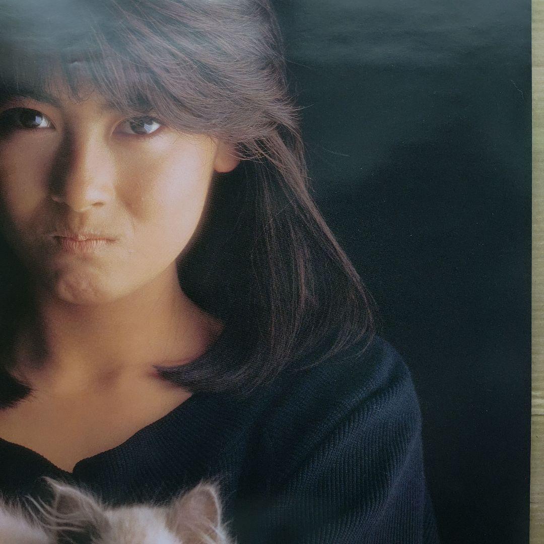中山美穂／クローズ・アップ 新品 特典ポスター 80年代当時物 猫 レア