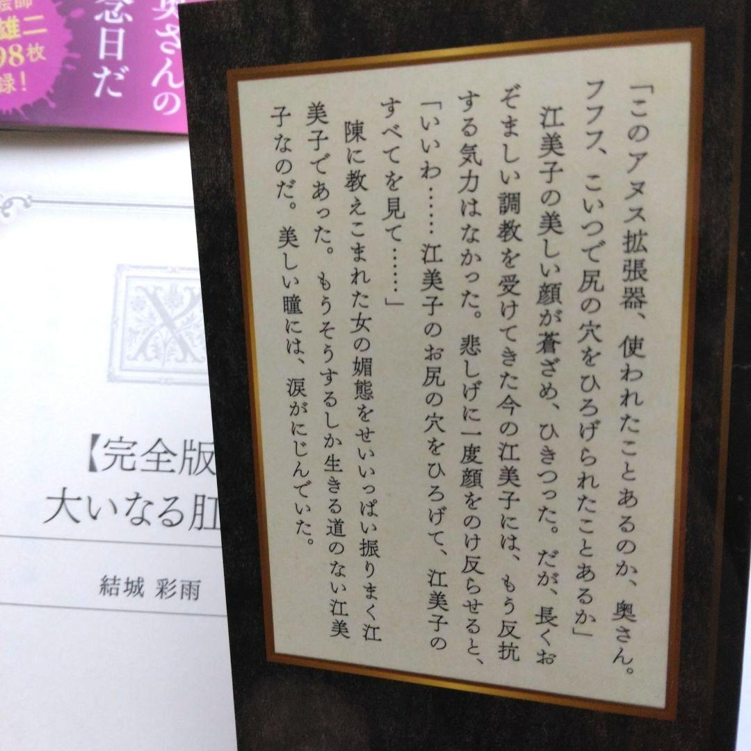 m*1様 【完全版】大いなる肛姦　他　結城彩雨　フランス書院X文庫　小説