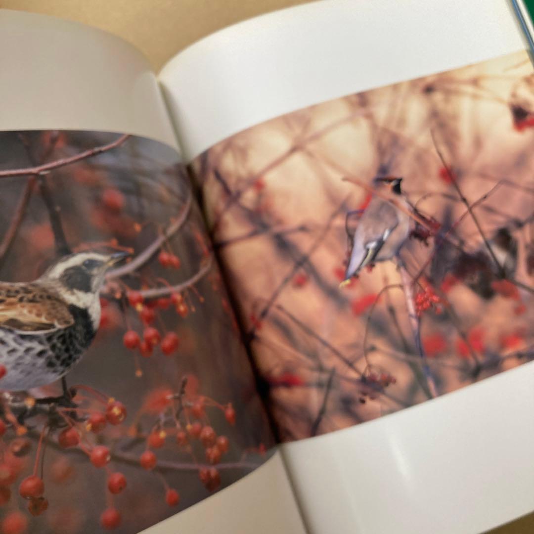 【初版・サイン本】　「野鳥賦」　久保敬親　　　日本カメラ社
