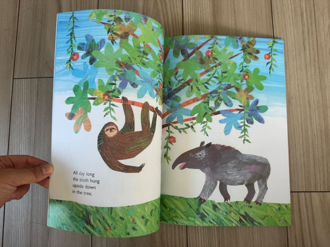 新品英語絵本　Eric Carle 絵本セット　10冊