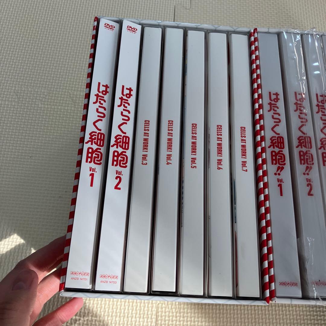 はたらく細胞　Box バラ売り対応します