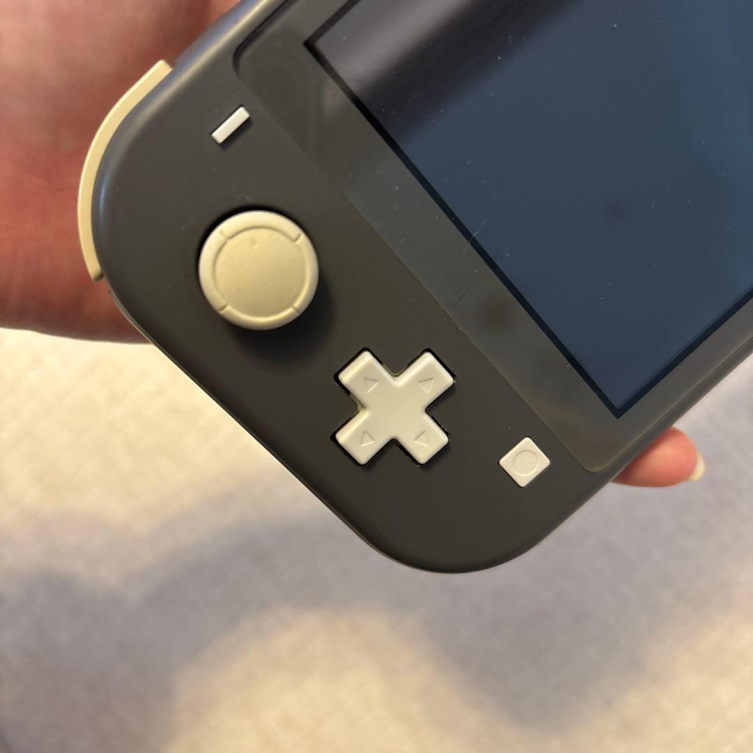 Nintendo Switch Lite グレー 充電器・イヤフォン付き
