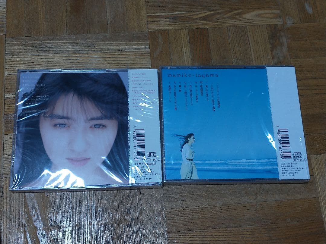 田山真美子 瞳の法則 詩小説 未開封