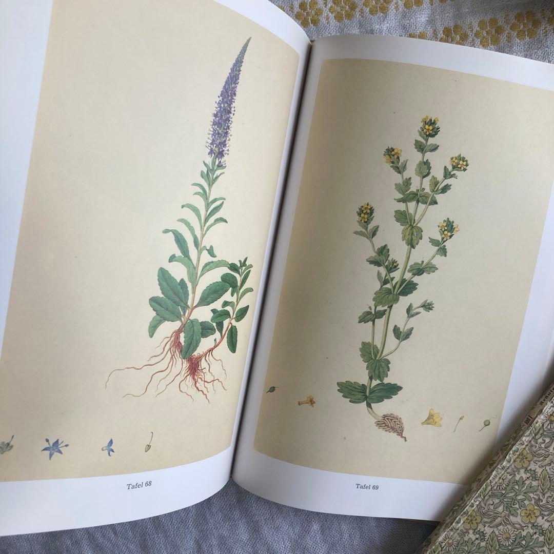 L958洋書古書　古い植物解剖図多数掲載1980年代発行ドイツの分厚い植物図鑑