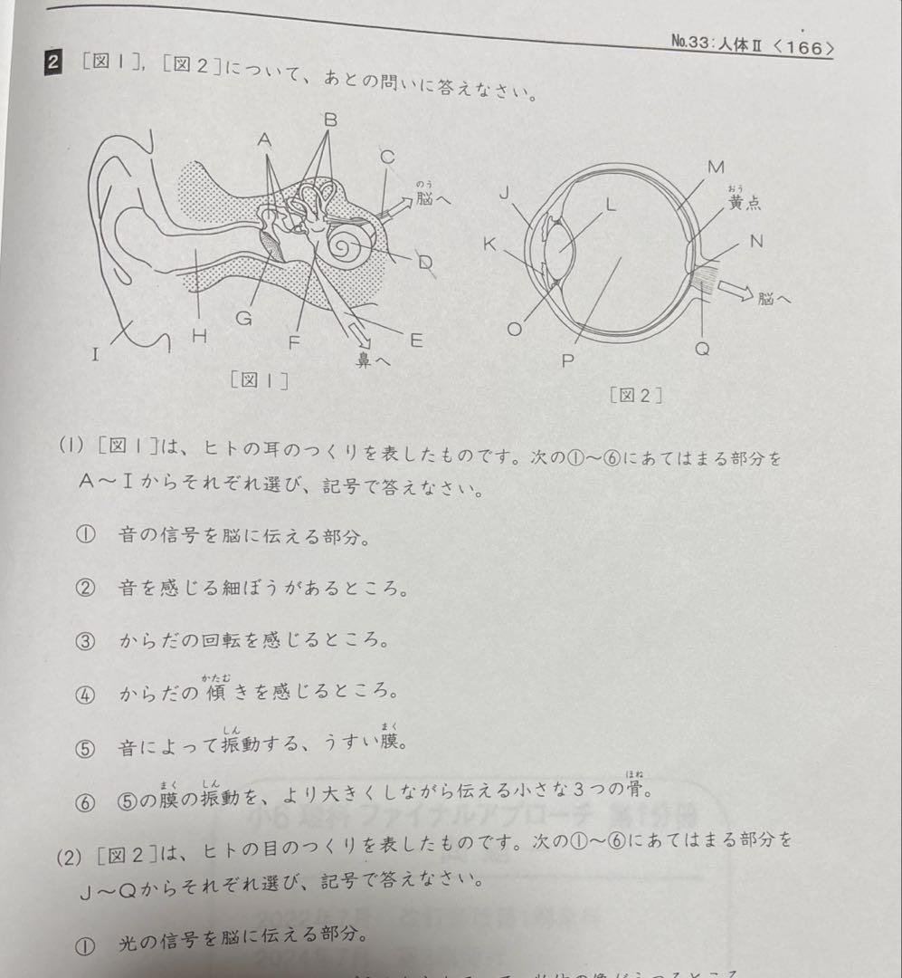 浜学園　6年生 理科 教材セット　一年分