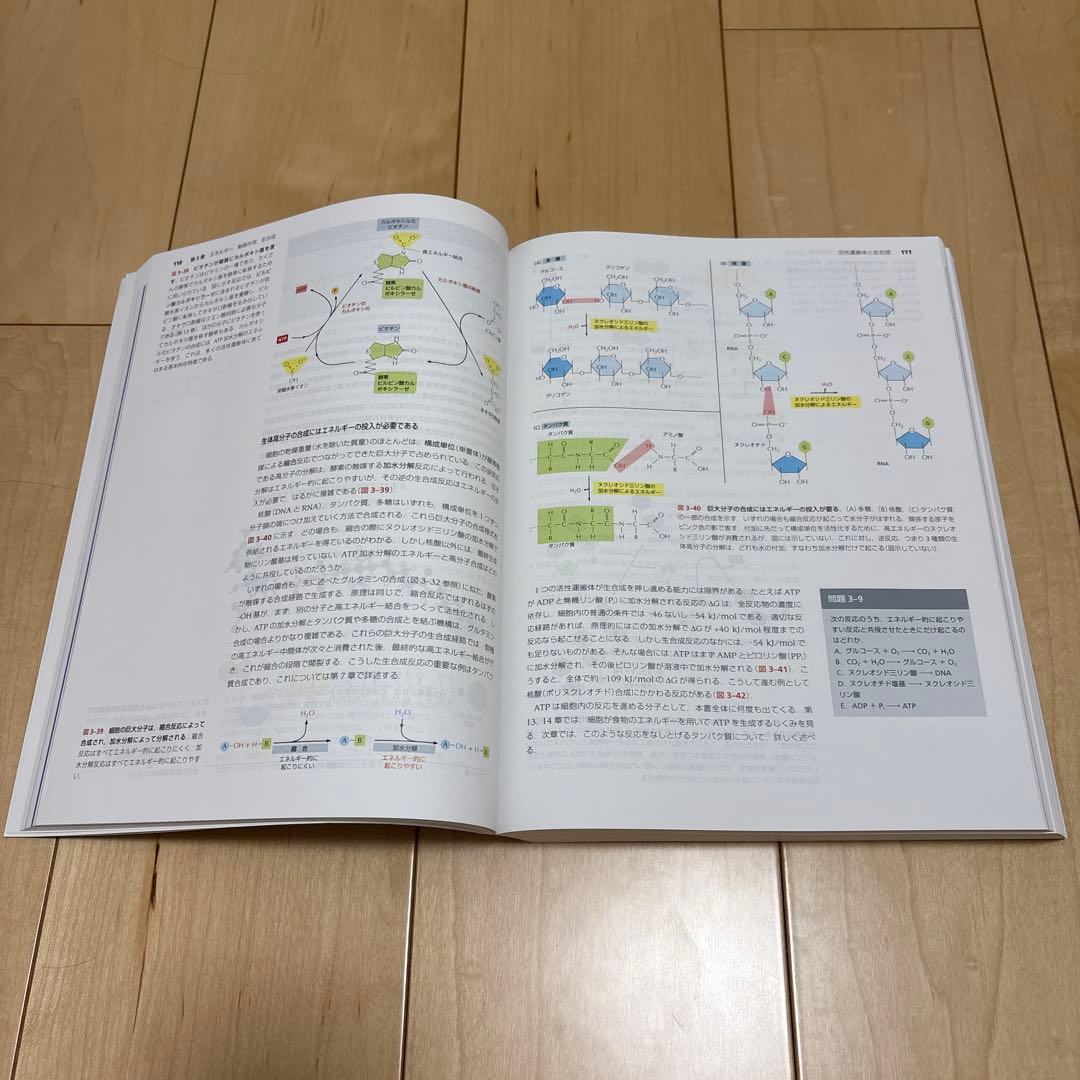 Essential Cell Biology 第5版　生物　ほぼ未使用
