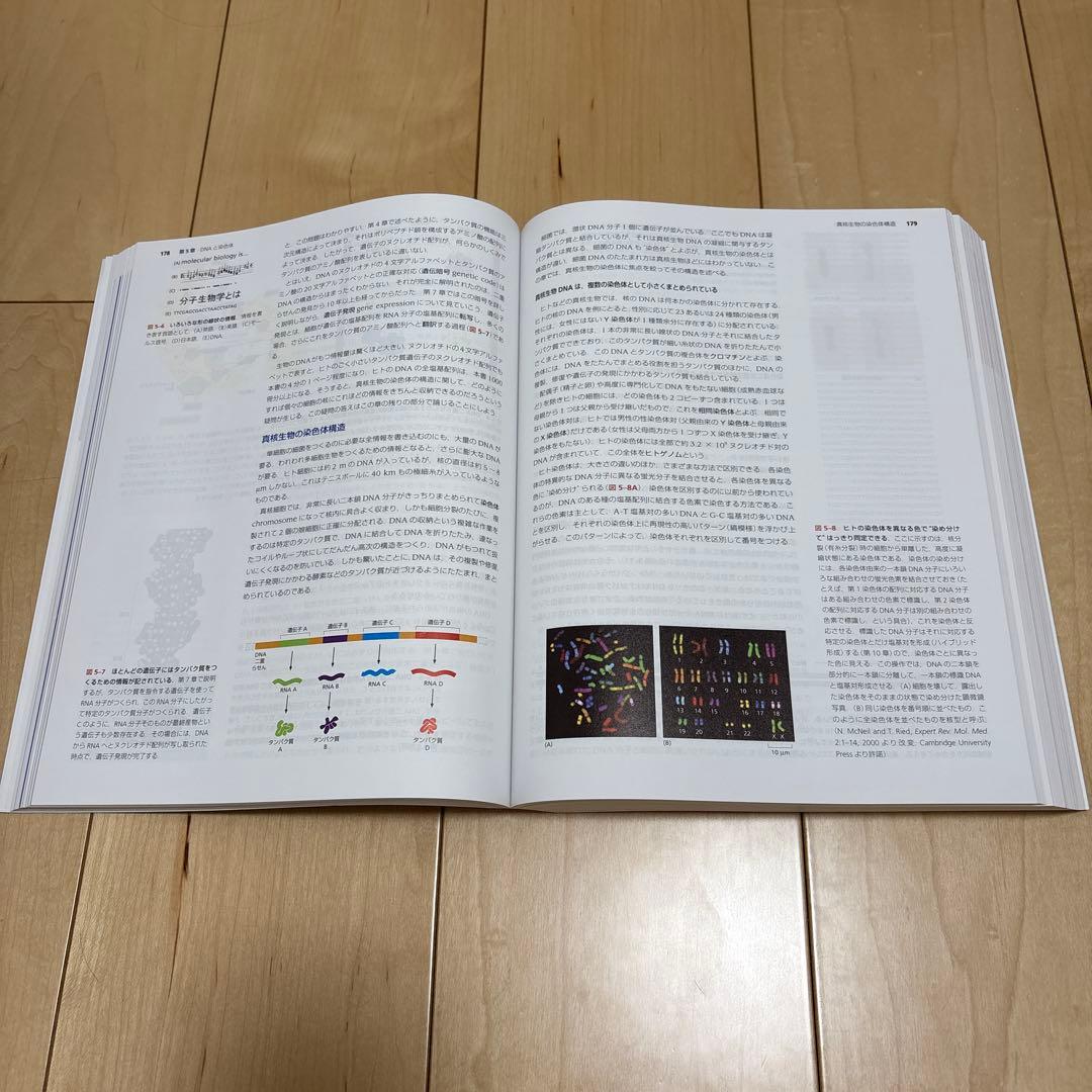 Essential Cell Biology 第5版　生物　ほぼ未使用