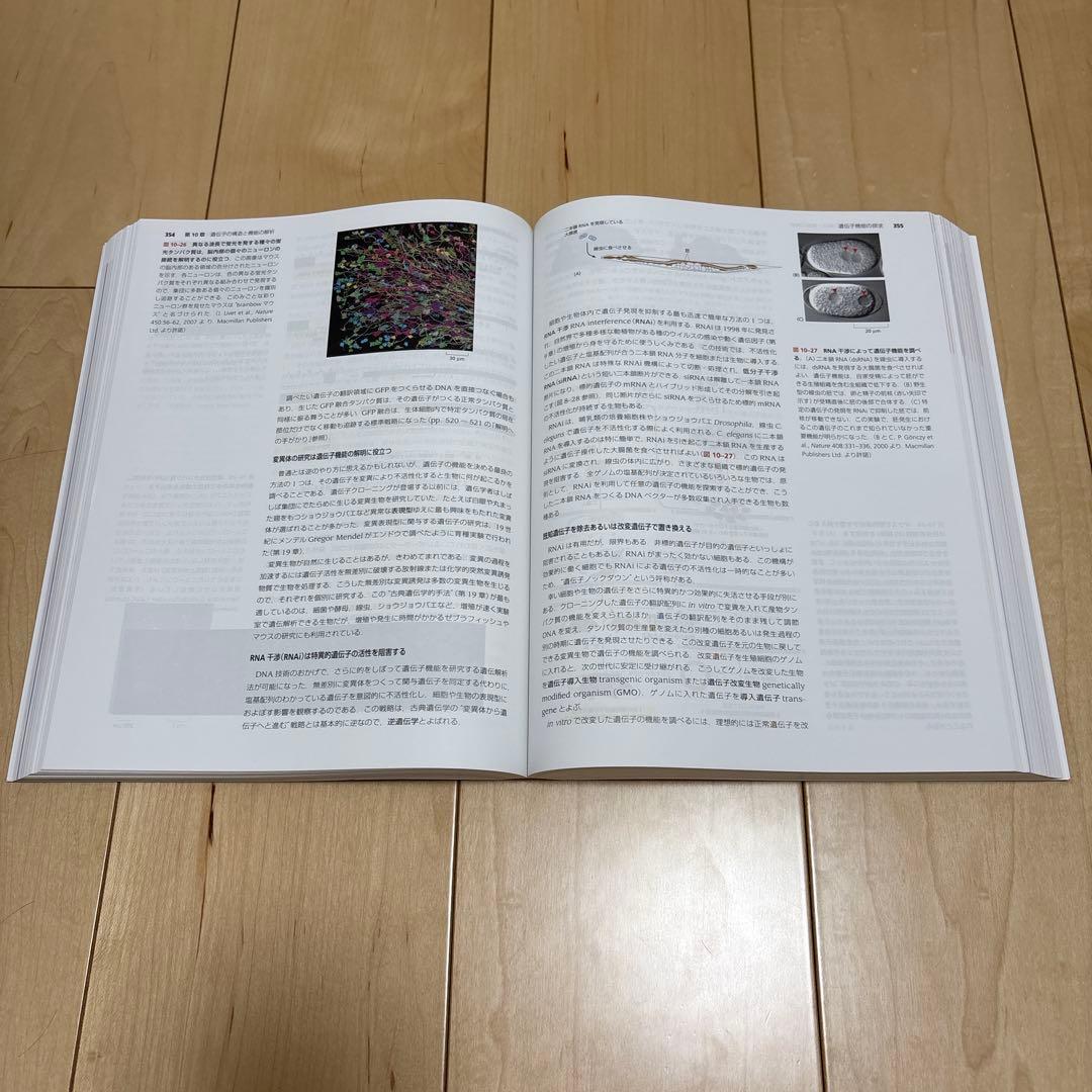 Essential Cell Biology 第5版　生物　ほぼ未使用