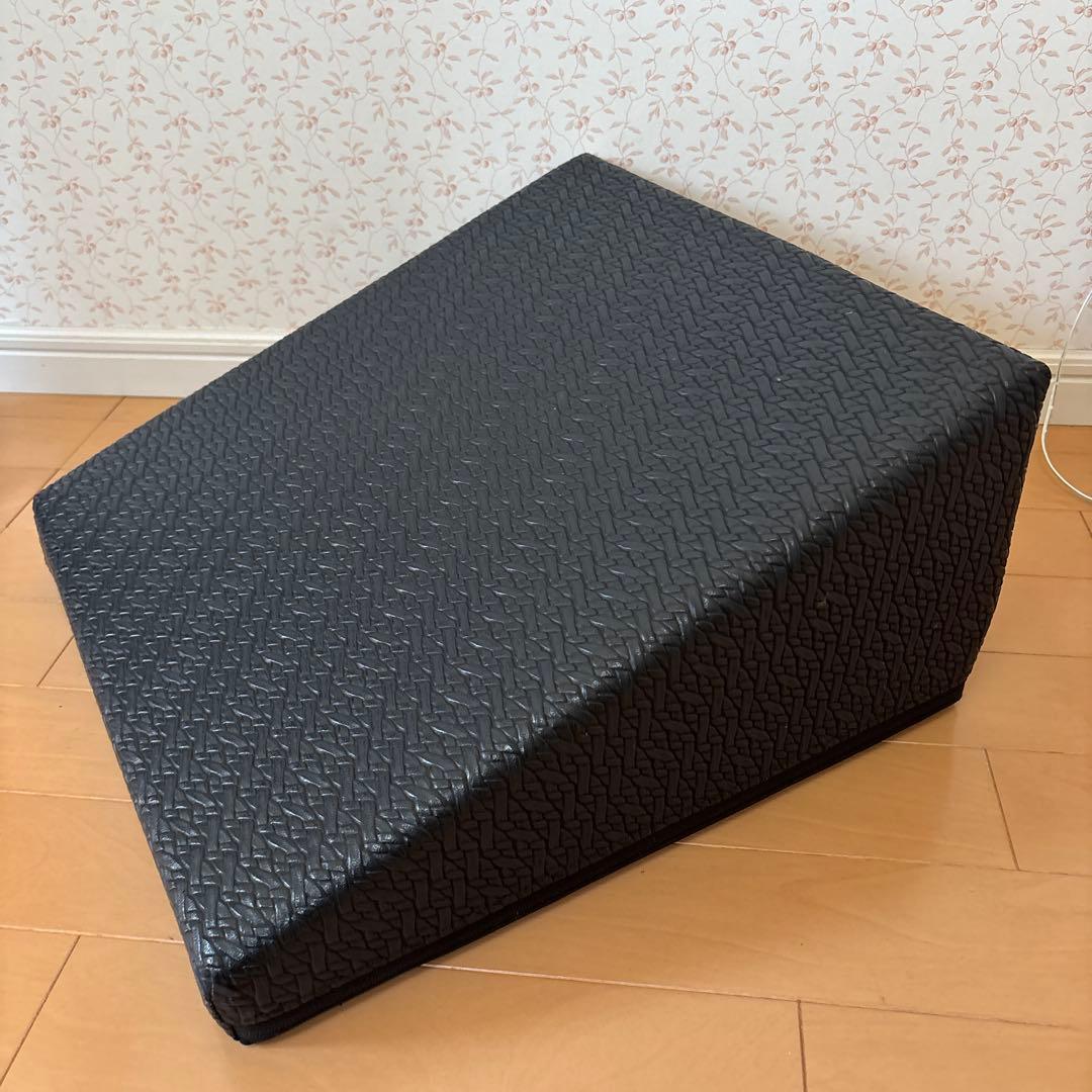 サンテプラス　フレックスクッション(本体のみ)