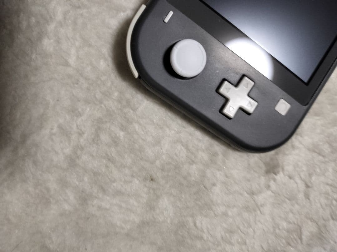 動作品Nintendo Switch Lite グレー 本体液晶やや難