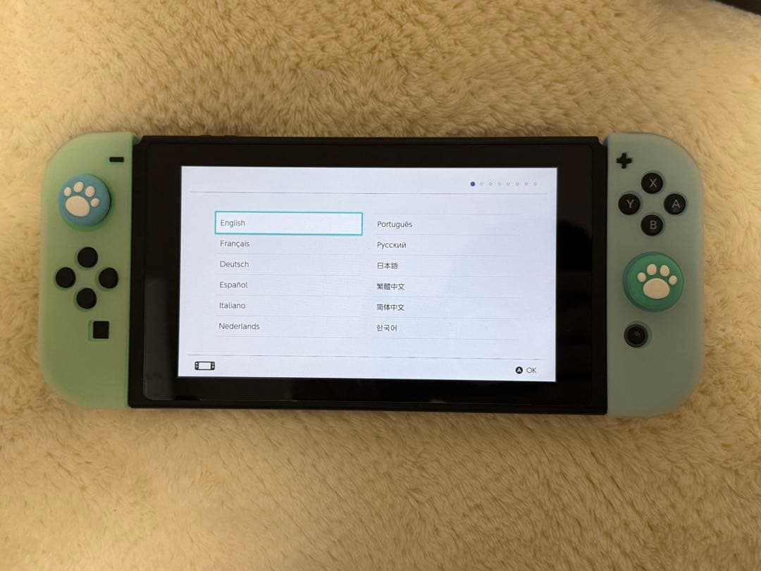 【韓国限定版】Nintendo Switch 本体 あつまれ どうぶつの森セット