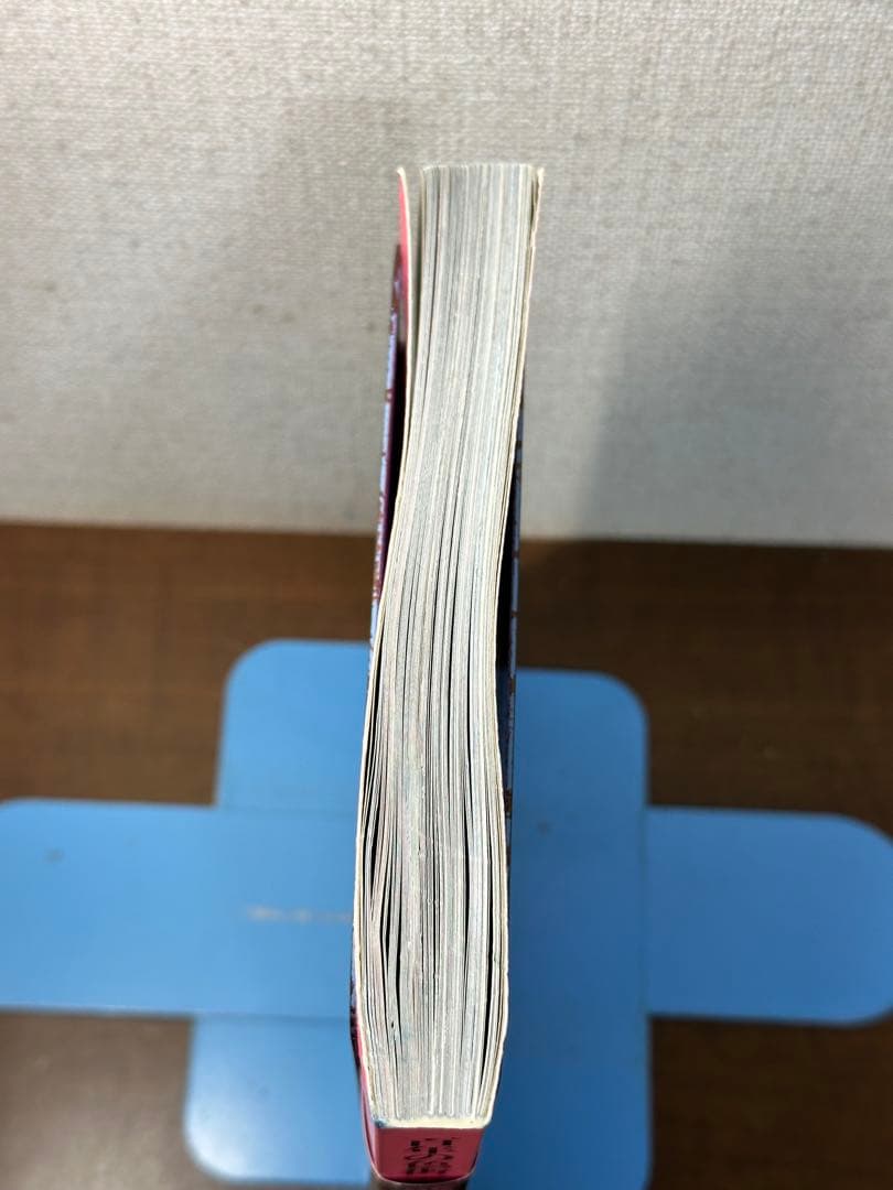 百年の色街 飛田新地 遊郭の面影をたどる