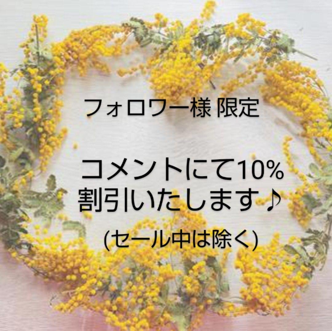【完売品】mizuiro ind インディアンプリントキルトベストFサイズ