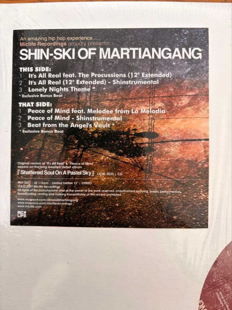 【美メロ】SHIN-SKI MARTIANGANG/ It's All Real