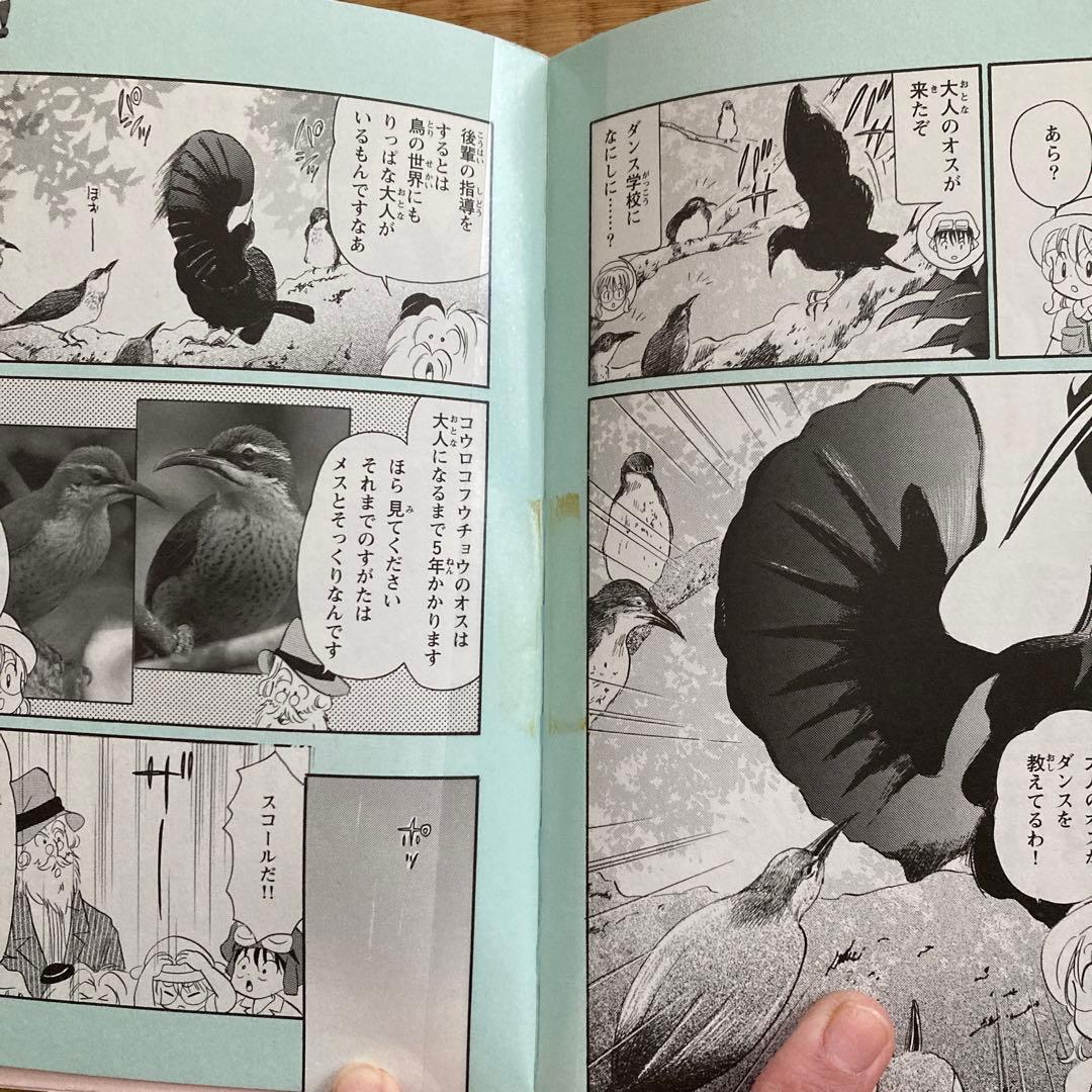 NHKダーウィンが来た! : 生きもの新伝説 1 〜7巻➕シリーズ関連本4冊
