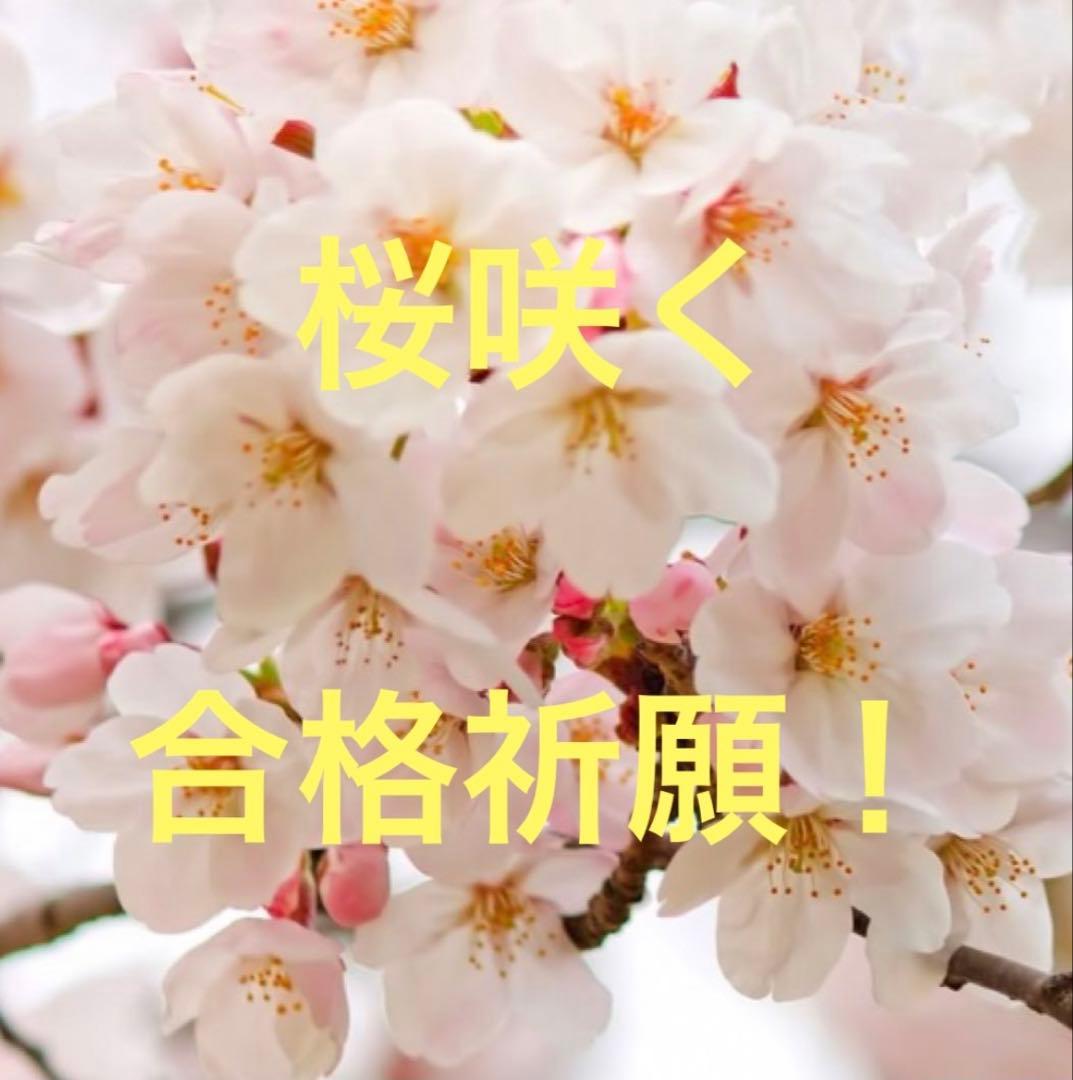 危険物取扱者乙種4類(乙4)要点プリント+本試験前予想問題 令和8年度対応