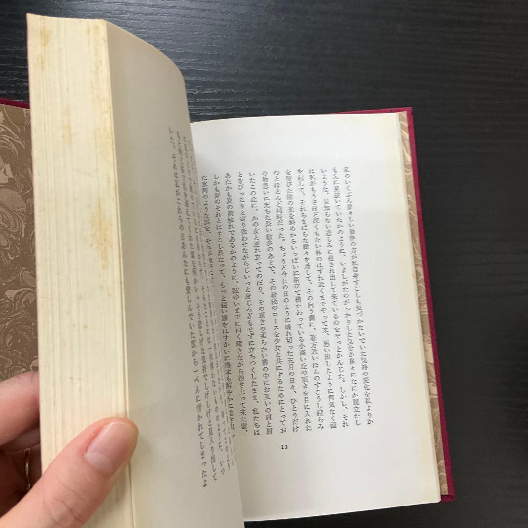 薔薇物語　山崎剛太郎　雪華社
