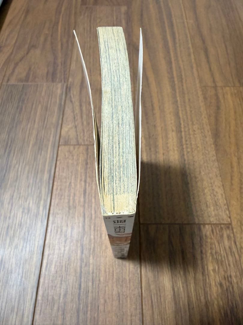ONE PIECE ワンピース　一巻　初版 コレクション用one piece1巻