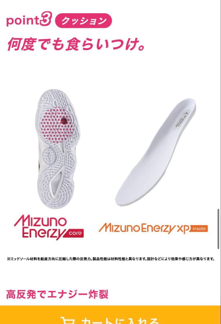 【新品未使用】Mizuno Wave Momentum Elite Wide