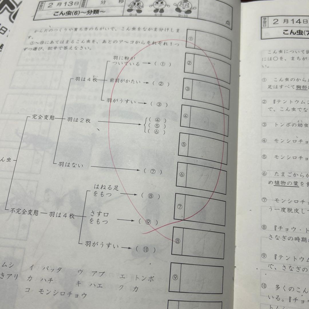 ⑭ 貴重品‼️ サピックス　SAPIX 5年　理科　基礎力トレーニング