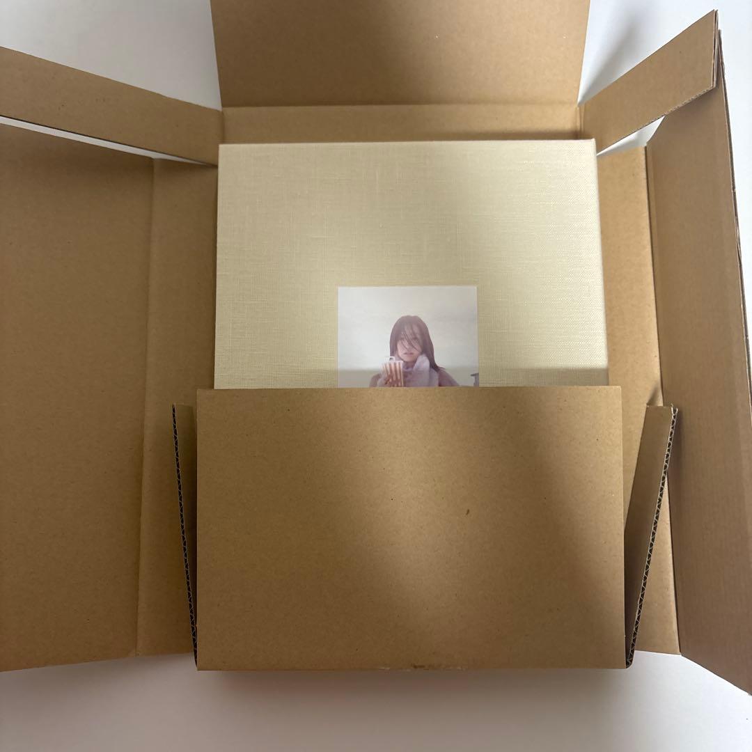 スピッツのデザイン 予約特典版 グッズ アートブック 写真集 SPITZ