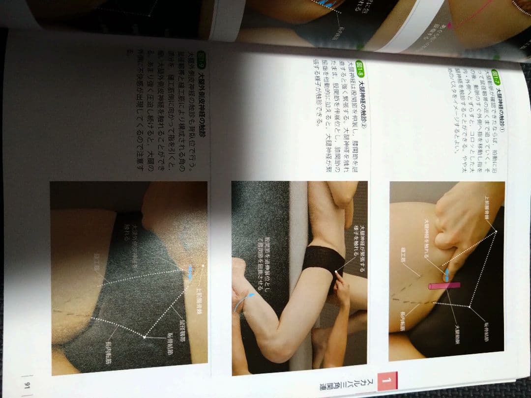運動療法のための触診技術　上肢下肢　まとめ売り　セット　バラ売り可　理学療法士