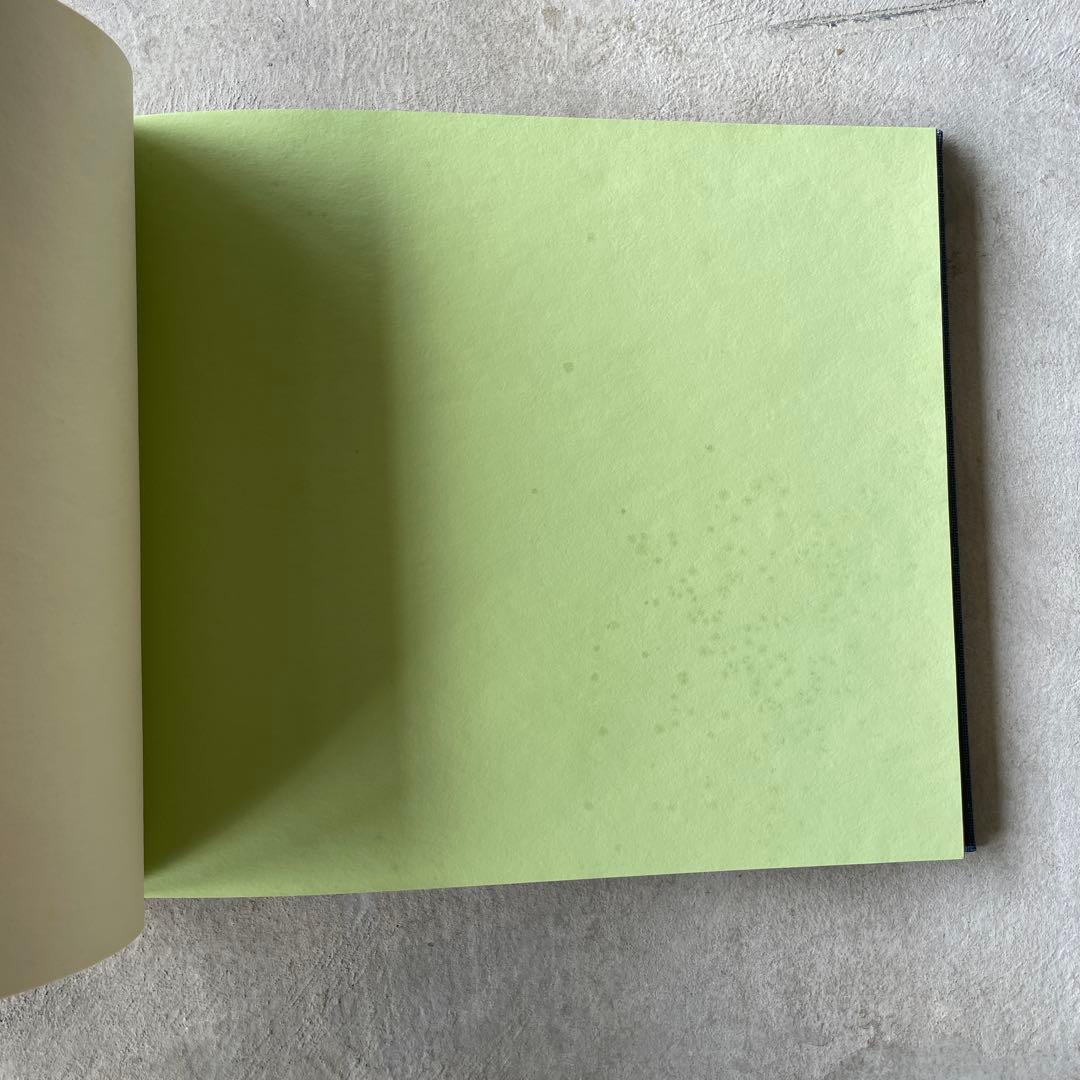ル コルビュジェ Polychromie architecturale