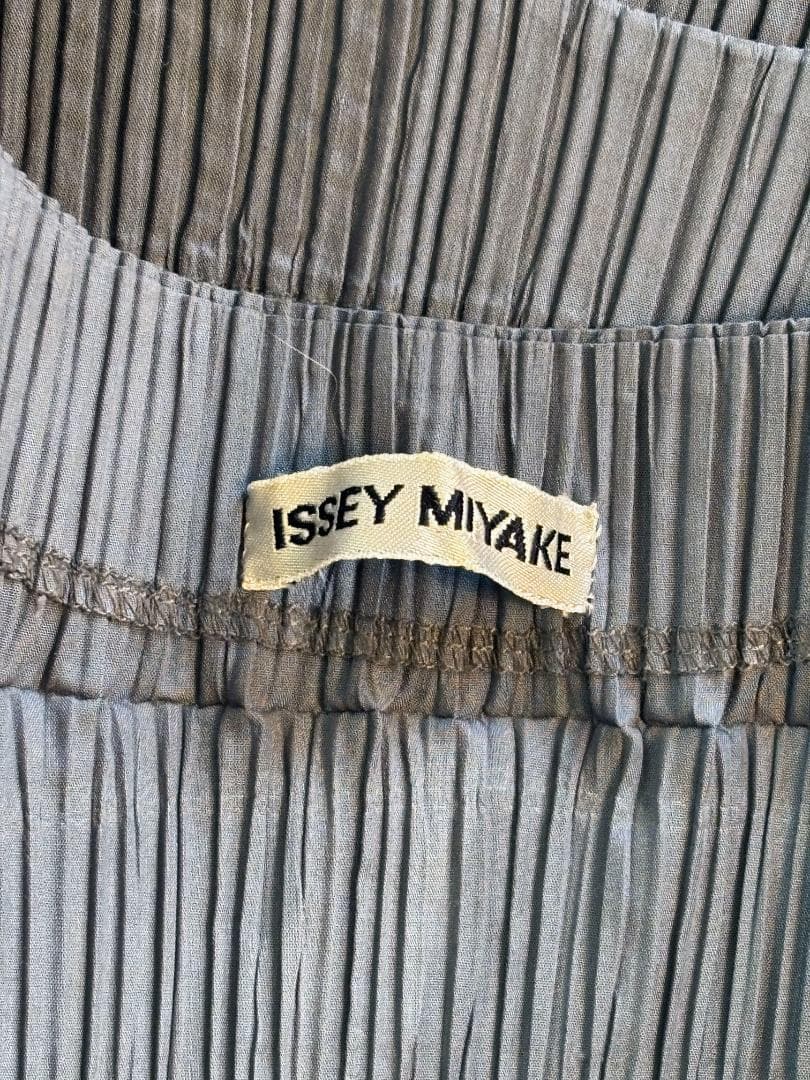 [超希少] ISSEY MIYAKE 平面二次元 変形 グレーボーダープリーツ